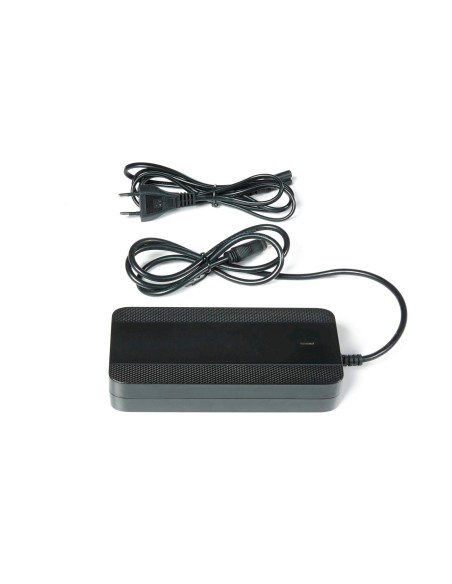 Lader 2A Sport Drive 36V