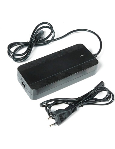 Lader 2A Sport Drive 36V