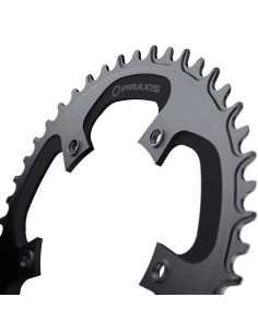 Praxis kettingblad 1x E-Ring 110BCD M8 44t