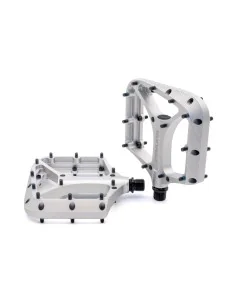 Praxis pedalen Brodium G2 zilver