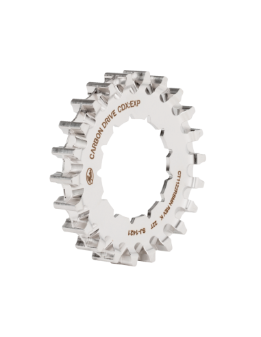 Gates CDX achtertandwiel 22 tands Rohloff Splined