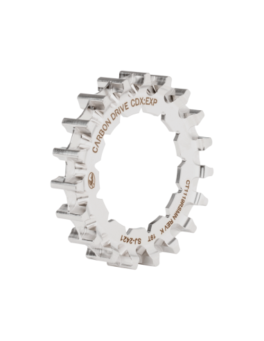 Gates CDX achtertandwiel 19 tands Rohloff Splined