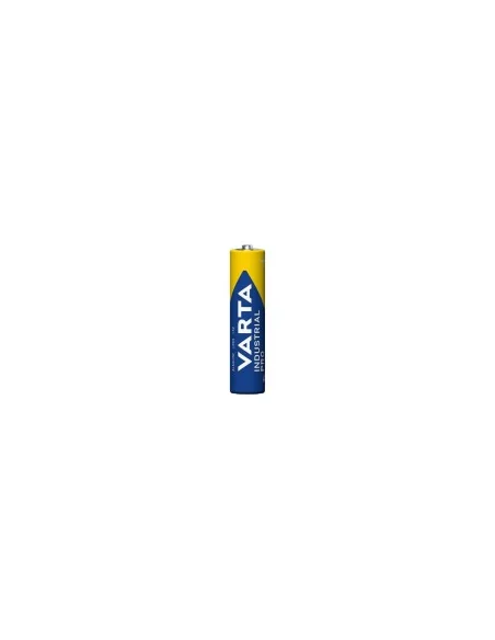 Ds Varta batterij R03 Alk AAA (10)