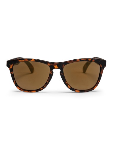 CHPO bril Bodhi Turtle Brown/Brown