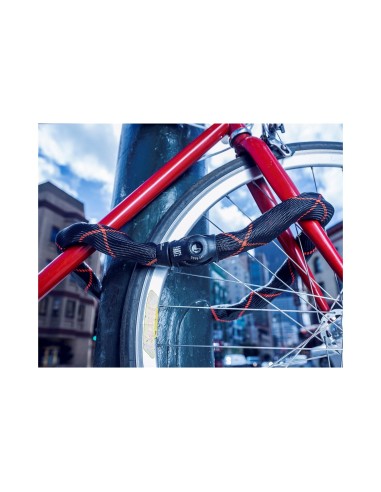 Abus kettingslot Ivy Chain 9210/110 ART3