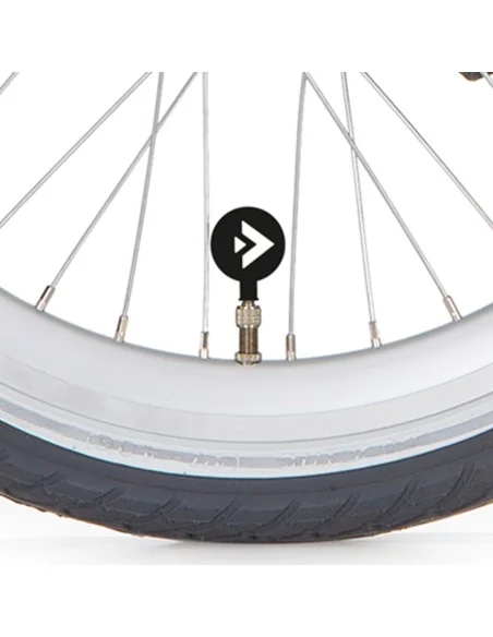 Alpina ventieldop D/V met logo