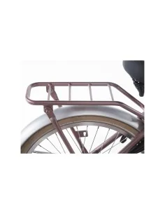 Alpina achterdrager 22 Cargo wood rose matt