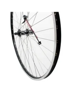 Roland achterwiel 28 Ryde ZAC19 zwart Shimano QC400 RVS spk