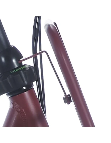 Cortina balhoofd beugel voordrager 28 D raspberry matt