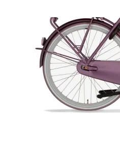 Cortina spatbord voor 28 E-U4 spicy silver 2 matt