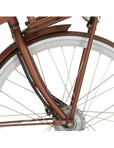 Cortina voorvork E-U4 D FM sparkle brown matt