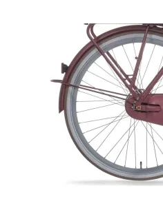 Cortina spatbord achter 28 E-U4 BF spicy silver 2 matt