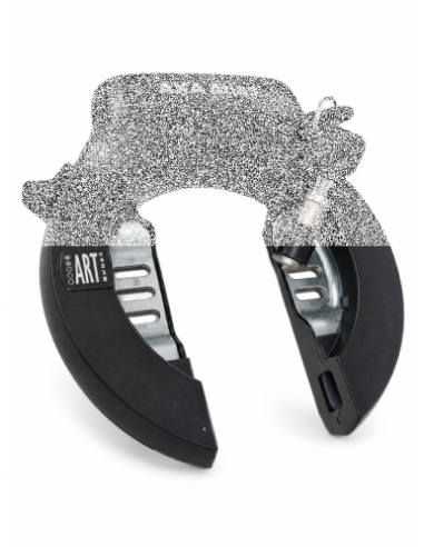 Axa ringslot Atlas + extra cilinder SD/Ecomo accuslot