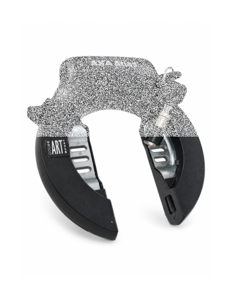 Axa ringslot Atlas + extra cilinder SD/Ecomo accuslot