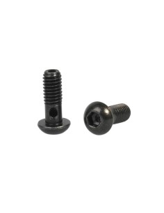Elvedes 2 banjo bouten M6
