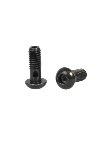 Elvedes 2 banjo bouten M6