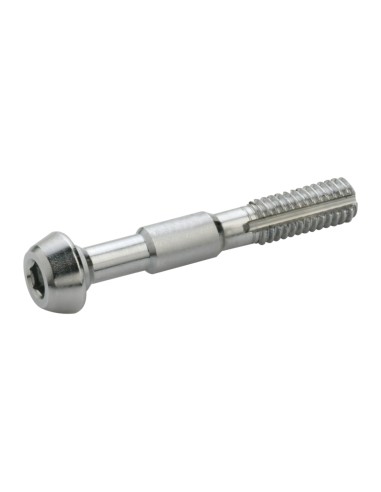 Elvedes 2 banjo bouten voor Shimano