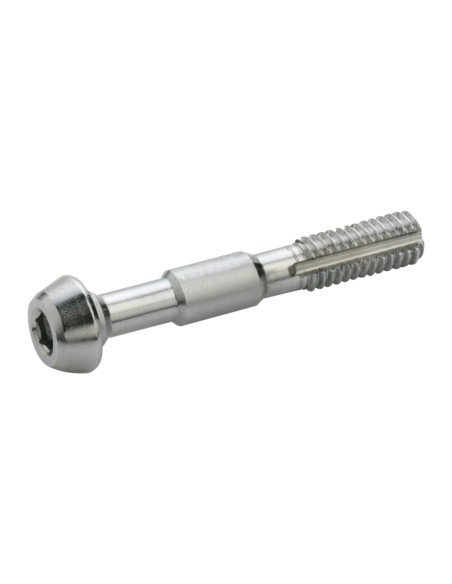 Elvedes 2 banjo bouten voor Shimano