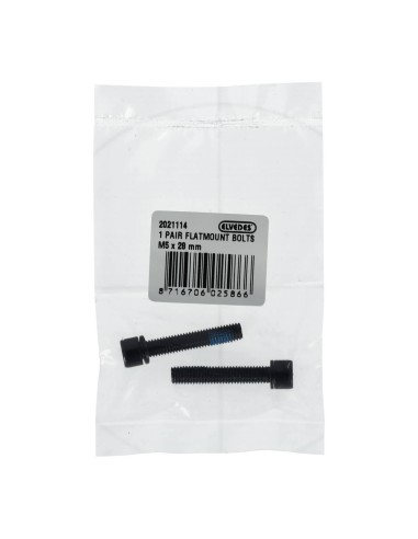 Elvedes 1 paar flatmount bouten M5 × 28 mm