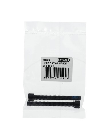 Elvedes 1 paar flatmount bouten M5 × 48 mm
