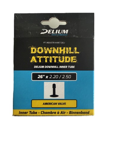 Deli Tire bnb Deli-Very 26 x 2.20-2.50 AV 35mm