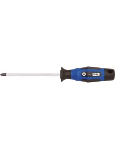 Cyclus sterschroevendraaier + 1x100 PH1