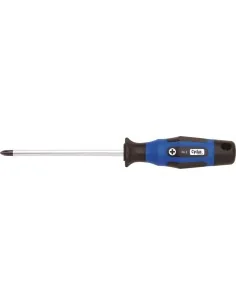 Cyclus sterschroevendraaier + 1x100 PH1