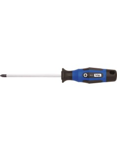 Cyclus sterschroevendraaier + 2x125 PH2