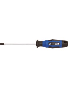 Cyclus torxsleutel T-25 L100mm
