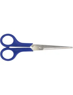 Cyclus schaar RVS