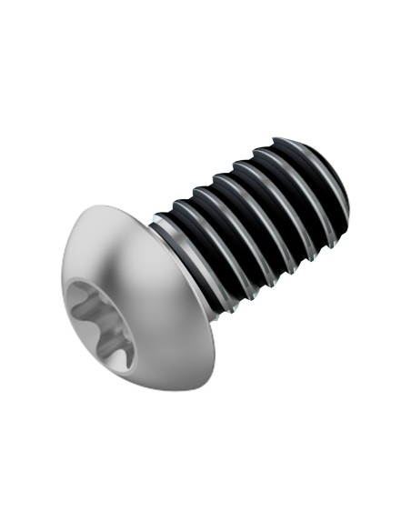 Fahrwerker remschijf bout M5x10 LEV tl (120 stuks)