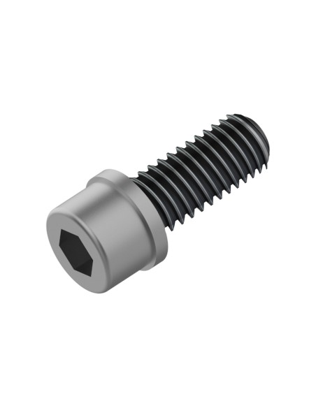 Fahrwerker remadapter bout M6x18 LEV tl (100 stuks)