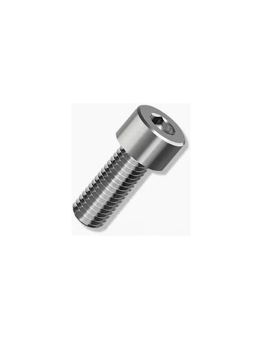 Inbusbout M10x40 RVS (1 stuk)