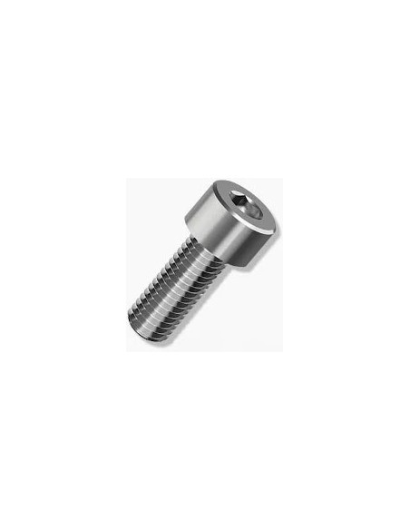 Inbusbout M10x40 RVS (1 stuk)