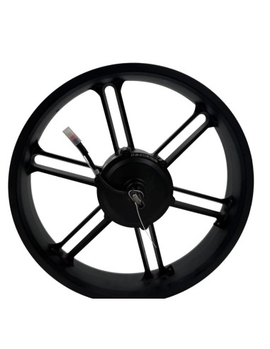 EB-Parts achterwiel motor fatbike v20 250W