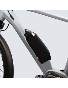 FAHRER frame accuhoes Shimano steps