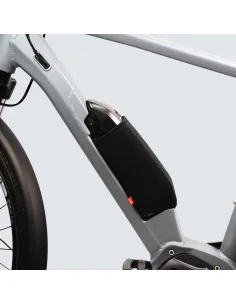 FAHRER frame accuhoes Shimano steps