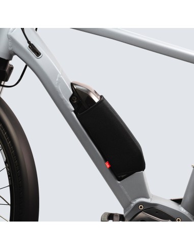 FAHRER frame accuhoes Shimano steps