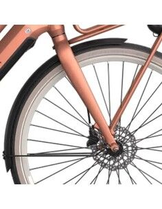 Cortina voorvork E-U4 Next 52/57 Metallic Peach Matt