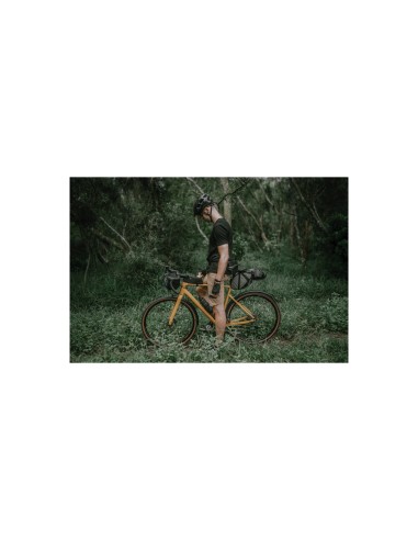 Topeak frametas fastfuel bag