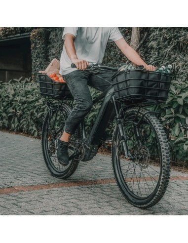 Topeak urban Basket DX 18L Aluminum