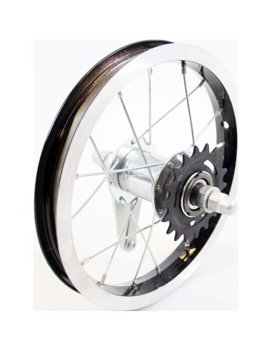 Alpina achterwiel 12 remnaaf Yabber zwart zink spk