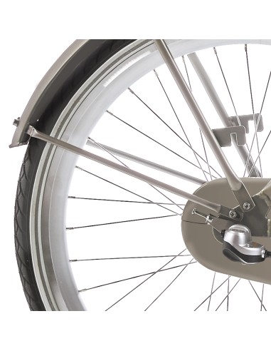 Alpina spatbordstang set 24 Clubb gold met matt