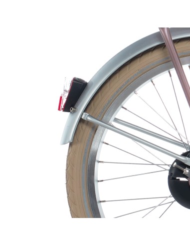 Alpina spatbord set + stang 20 Cargo silver matt