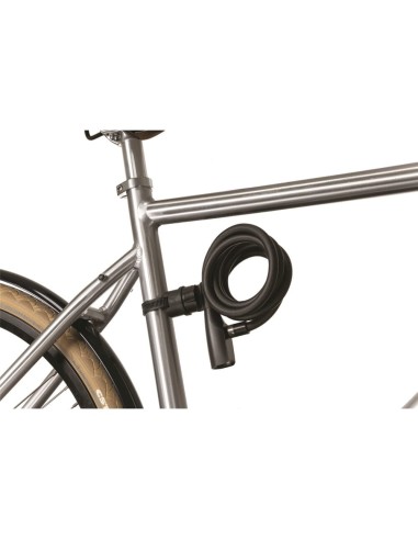 Axa framehouder Resolute 10, 12, 15mm