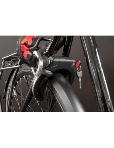 Trelock ringslot RS 453 P-O-C Balloon NAZ ART2