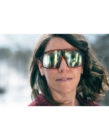 CHPO bril Erica Turtle Brown/Brown