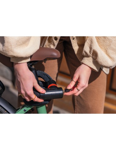 Abus kettingslot Goose Lock 4204K/85 black