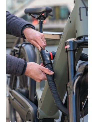 Abus kettingslot Goose Lock 4204K/85 black