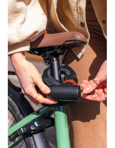 Abus kettingslot Goose Lock 4204K/85 black